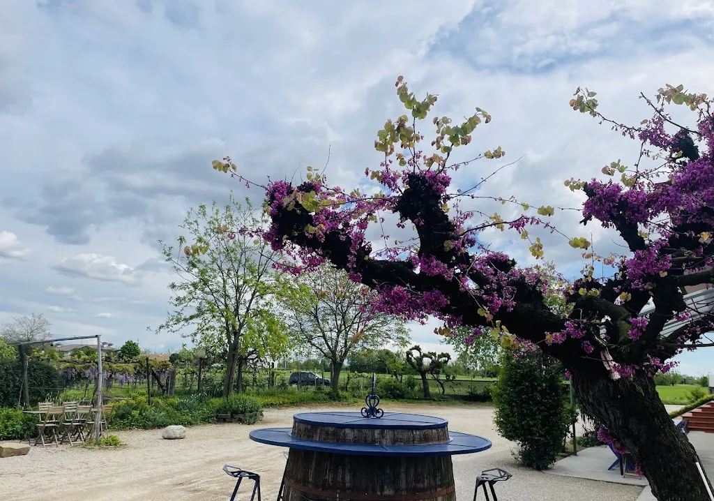 Frasca Dal Bacan dal 1978_Pozzuolo del Friuli_slider_image_2