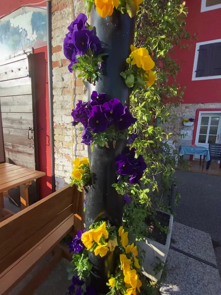 Tiziana Stocco _Agriturismo La Cantine_Precenicco_recensione