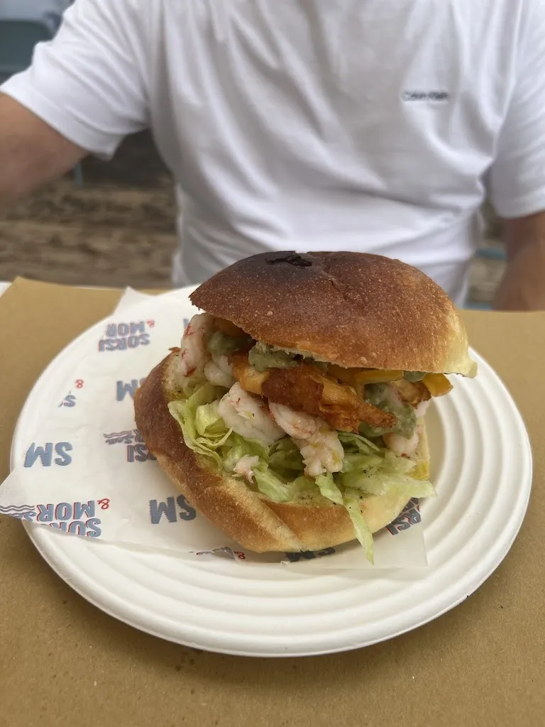 Janice D_SORSI & MORSea_Puia-Villanova_review