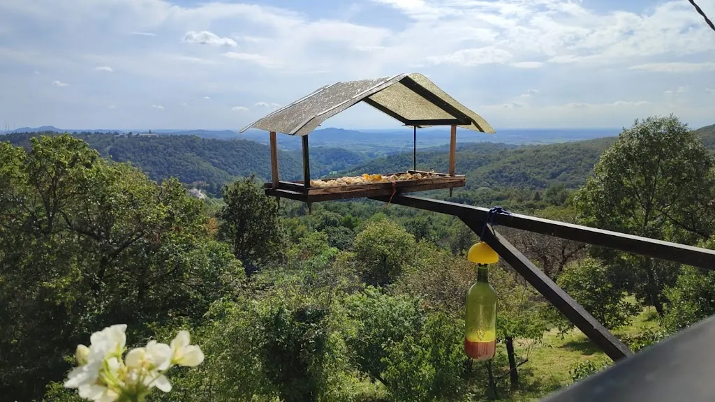 Raffaele Di Cecco_Osteria Mezzomonte_Prepotto_review