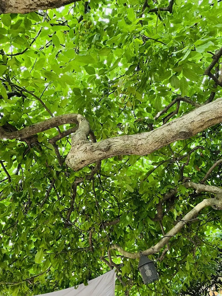 Naz _ Gol_Gabrovec Osmiza_Prepotto_review