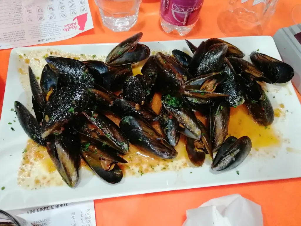 Menu_Ristorante Pizzeria Il Gatto Rosso_Ramuscello_image_9