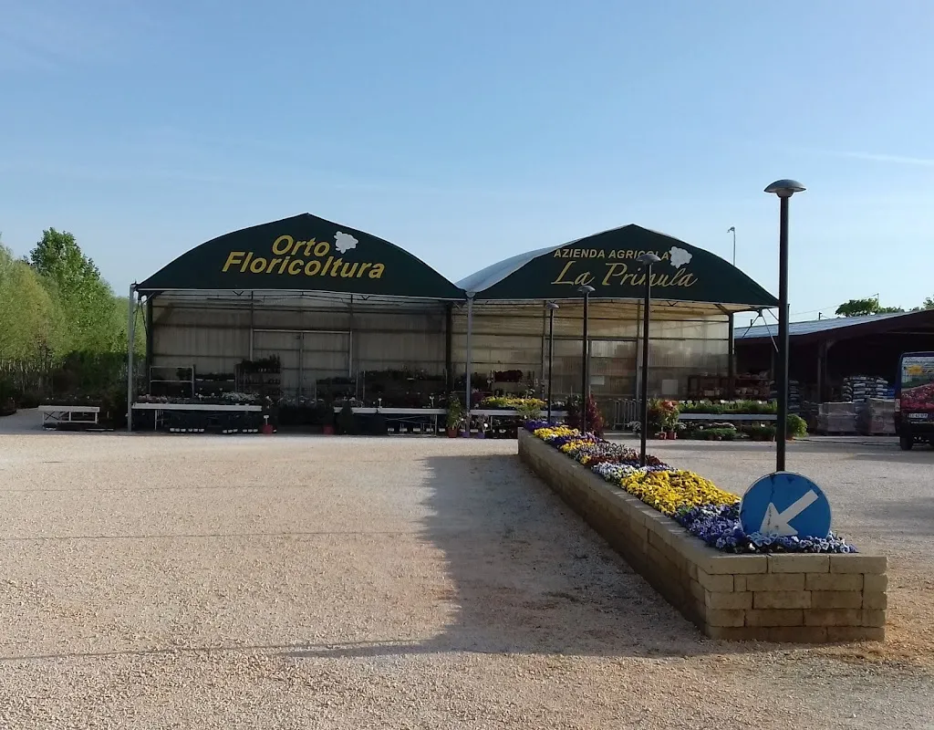 Azienda Agricola La Primula Di Prodani Michele_Ramuscello_slider_image_2