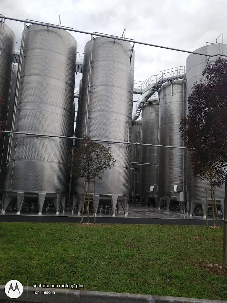 Cantina Produttori Ramuscello E San Vito S.C.A_Ramuscello_slider_image_3