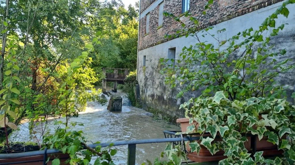 Cristi Gotia_Restaurant Piccolo Mulino_Ramuscello_review