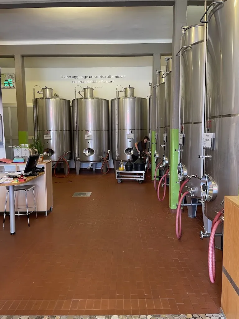 Eike Töpler_Cantina Rauscedo_Rauscedo-Domanins_review