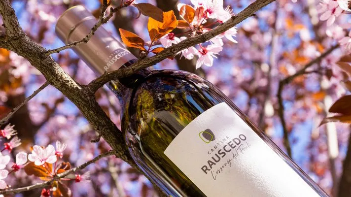 Cantina Rauscedo_Rauscedo-Domanins_slider_image_1