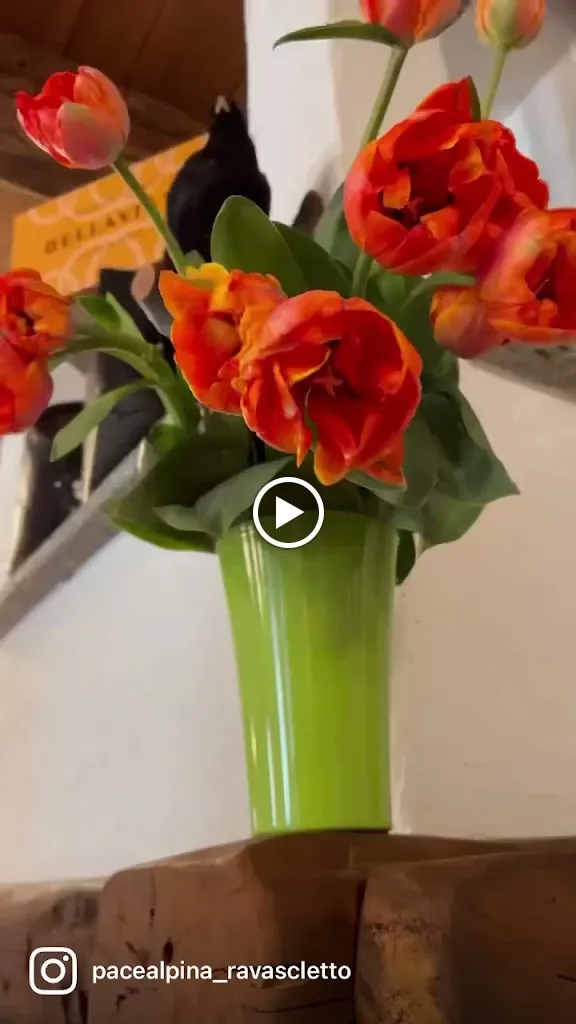 Pace Alpina_Ravascletto_slider_image_2