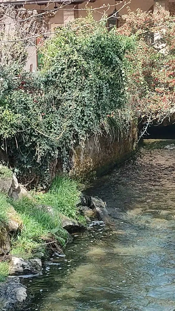 Ristorante Al Scus_Reana del Roiale_slider_image_2