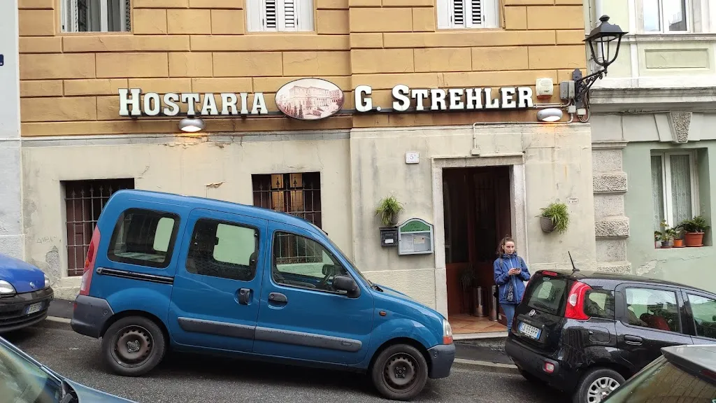 Serghei “Misanthop”_Hostaria G. Strehler_Provincia di Trieste_review