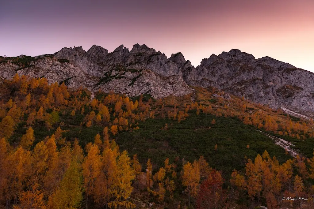 rifugio chiampizzulon_Rigolato_slider_image_3