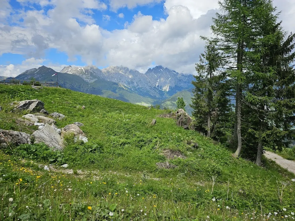 Al Cedrone_Rigolato_slider_image_1