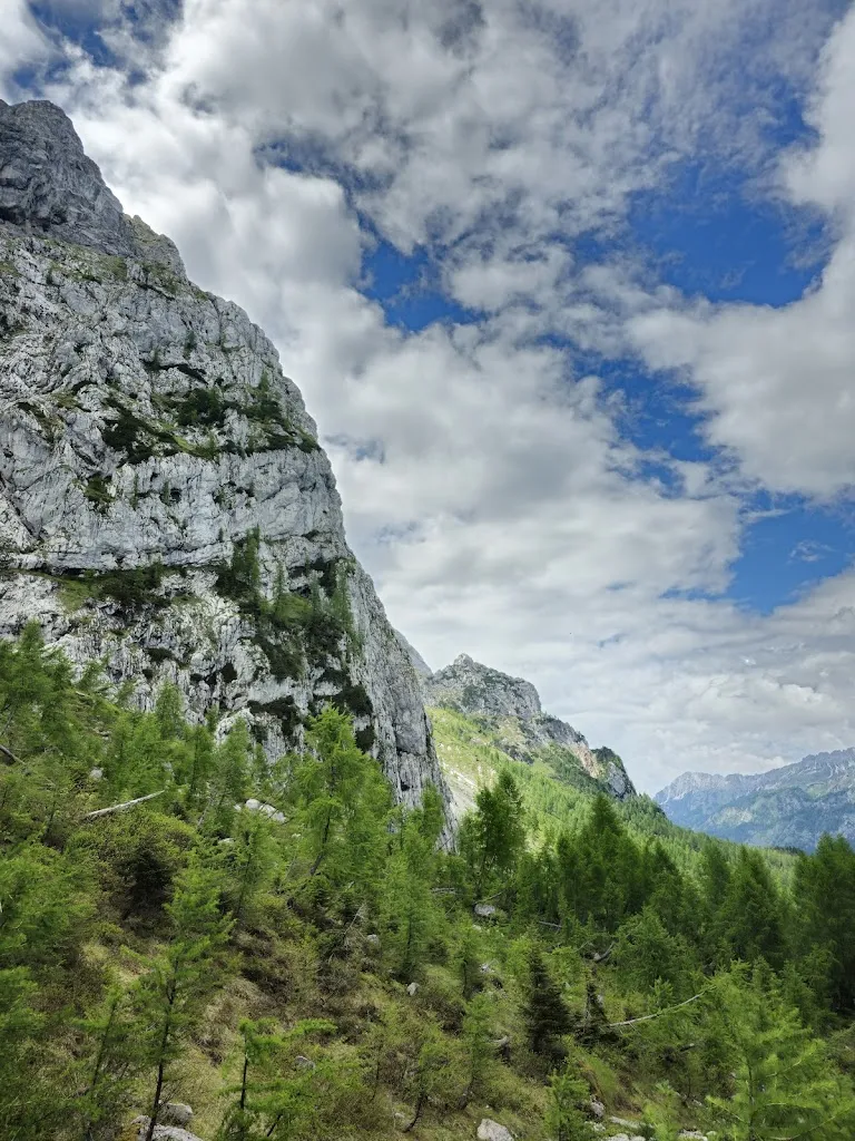 Al Cedrone_Rigolato_slider_image_2