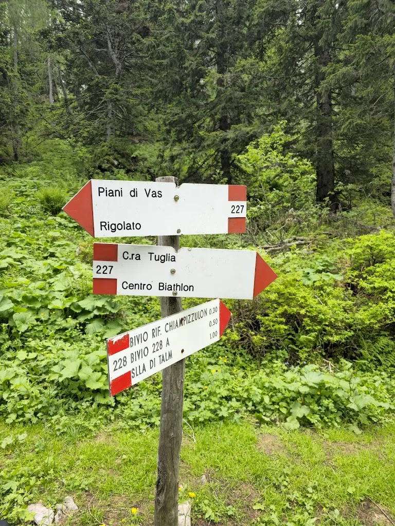 Al Cedrone_Rigolato_slider_image_3