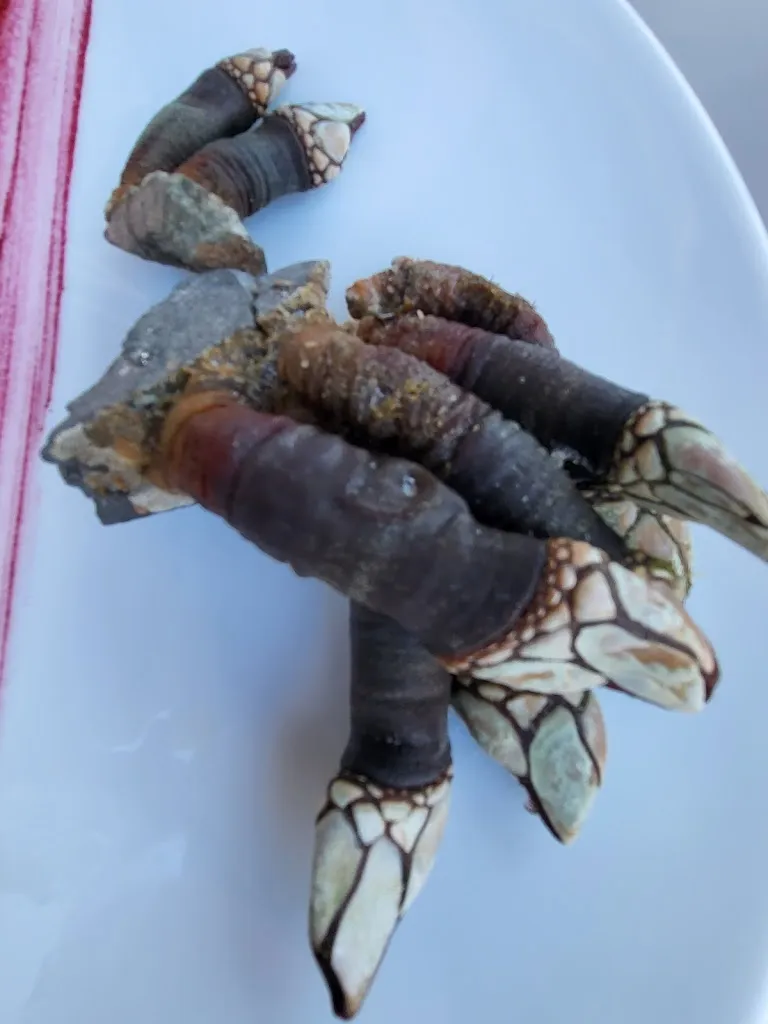 Menu_Le Love ristorante_Ronchi dei Legionari_image_8