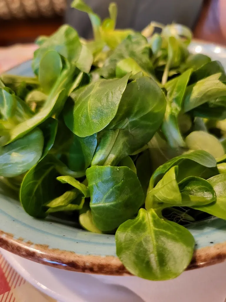 Menu_Da Boscarol_Ronchi dei Legionari_immagine_8