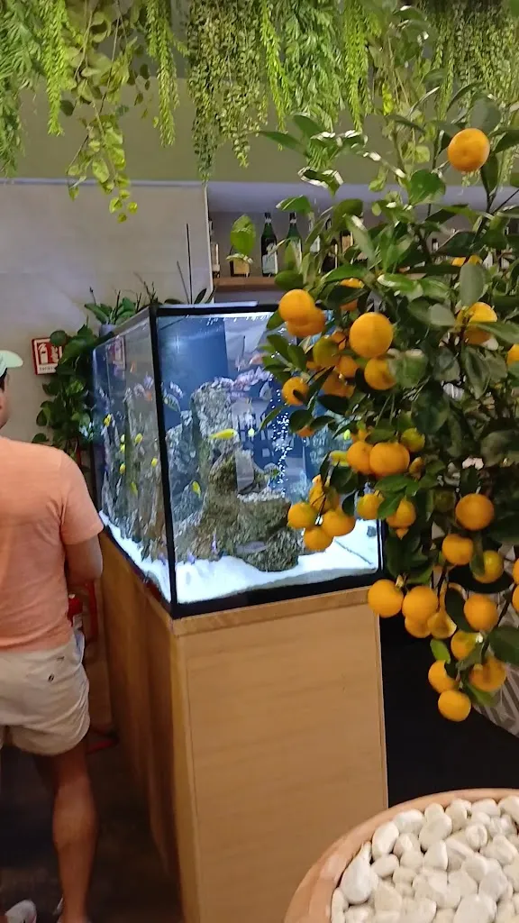 Bear Lover_DODO Verace Pizza Napoletana_Sacile_review