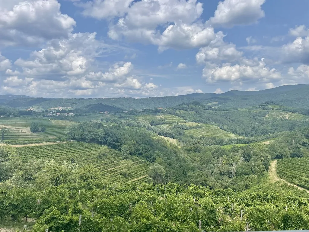 Agriturismo Fattore_San Floriano del Collio_slider_image_3
