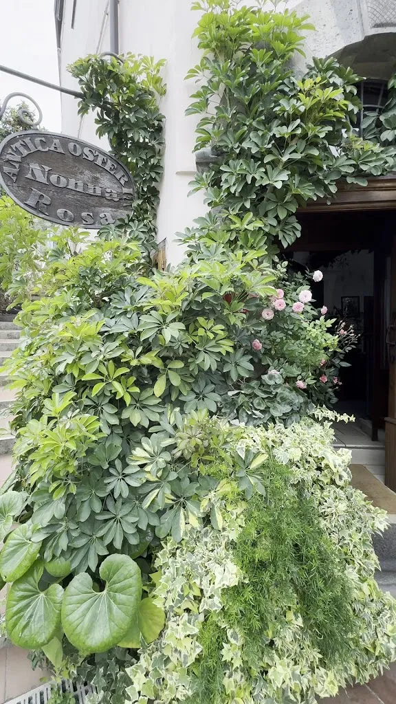 Rylee Rose_Antica Osteria Nonna Rosa di Peppe Guida_Rosa_review