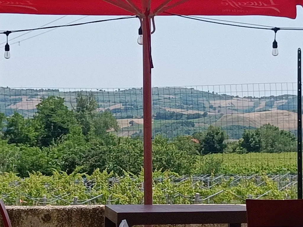 meenu maharana_Il Braciere_Scerni_recensione