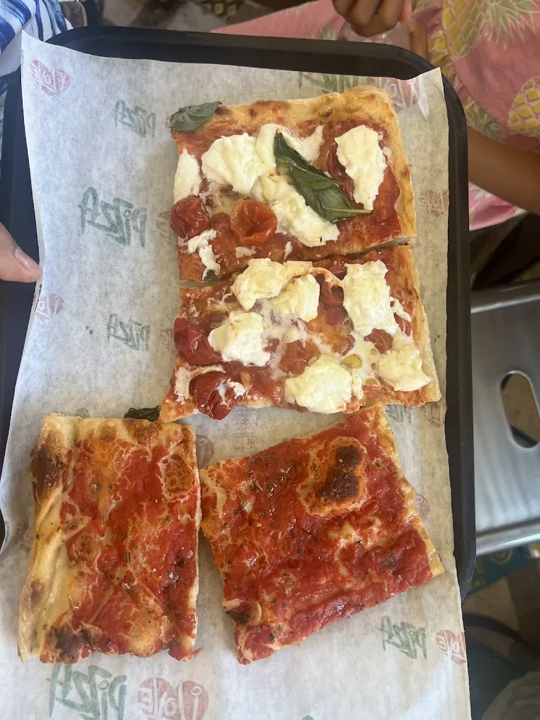 Ashwin Kumar_Pizza Florida_Rosa_review