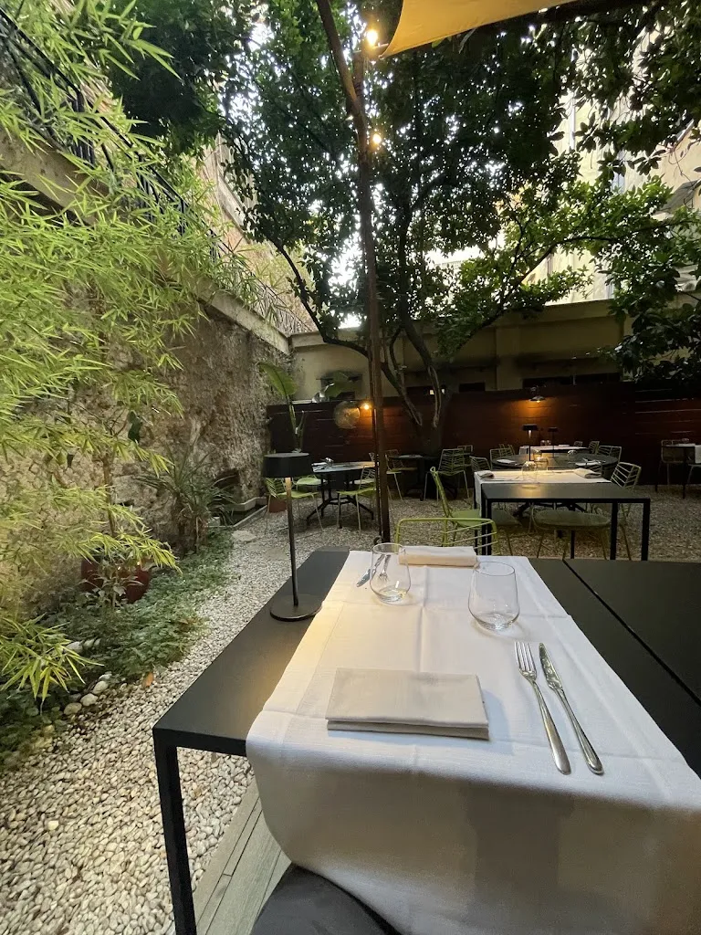 Bin Chen_Matermatuta_Rosa_review