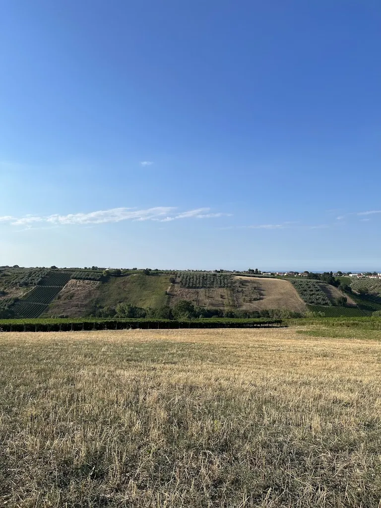 Ginevra Lazzarini_Agriturismo Fonte Maggio_Scerni_review