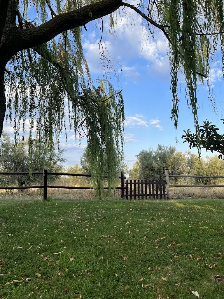 Agriturismo Fonte Maggio_Scerni_slider_image_2