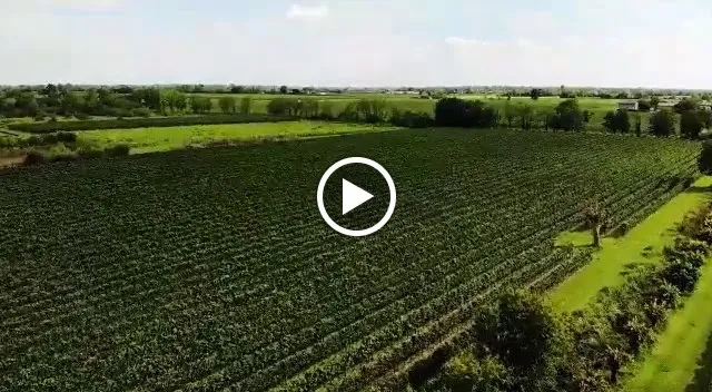 Pitars_San Martino al Tagliamento_slider_image_2