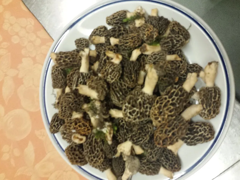 Menu_Osteria Prosciutteria Al Baccaro_San Daniele del Friuli_image_4