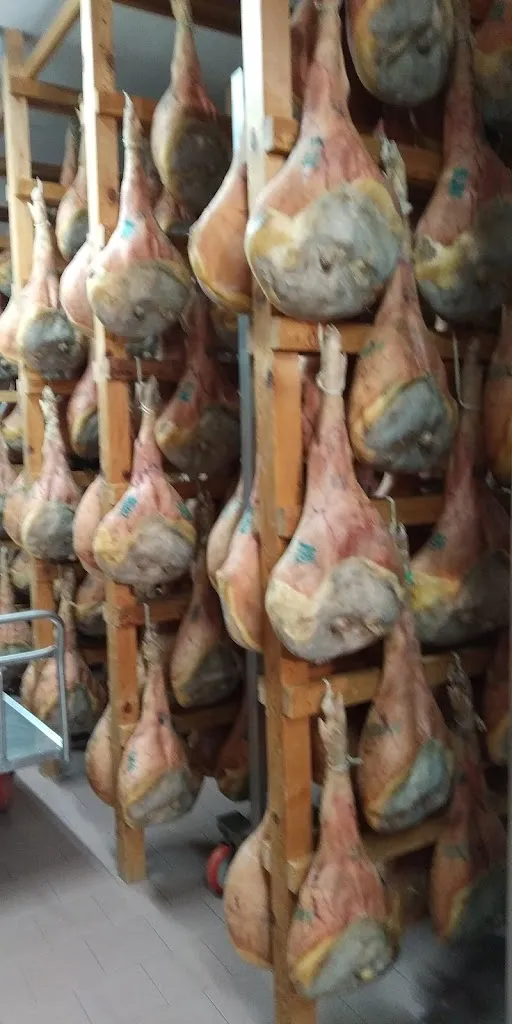 trissy Rowley_Prosciuttificio Bagatto_San Daniele del Friuli_recensione