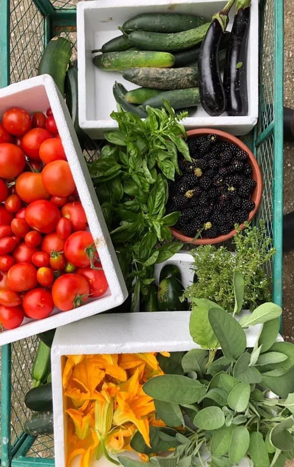 Menu_Al Tirassegno_San Daniele del Friuli_immagine_6