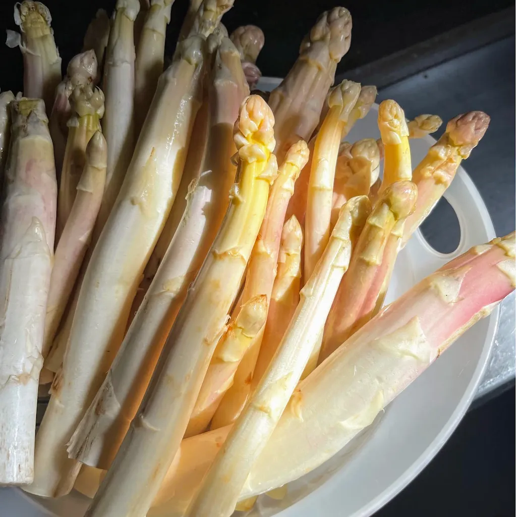 Menu_Al Tirassegno_San Daniele del Friuli_immagine_9