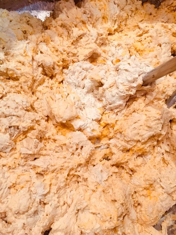 Menu_Sempre Pronto Di Stepanov Adrian Sabin_San Daniele del Friuli_image_9