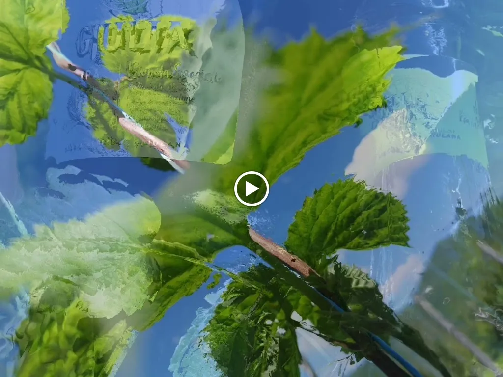 Birrificio Gjulia_San Pietro al Natisone_slider_image_2