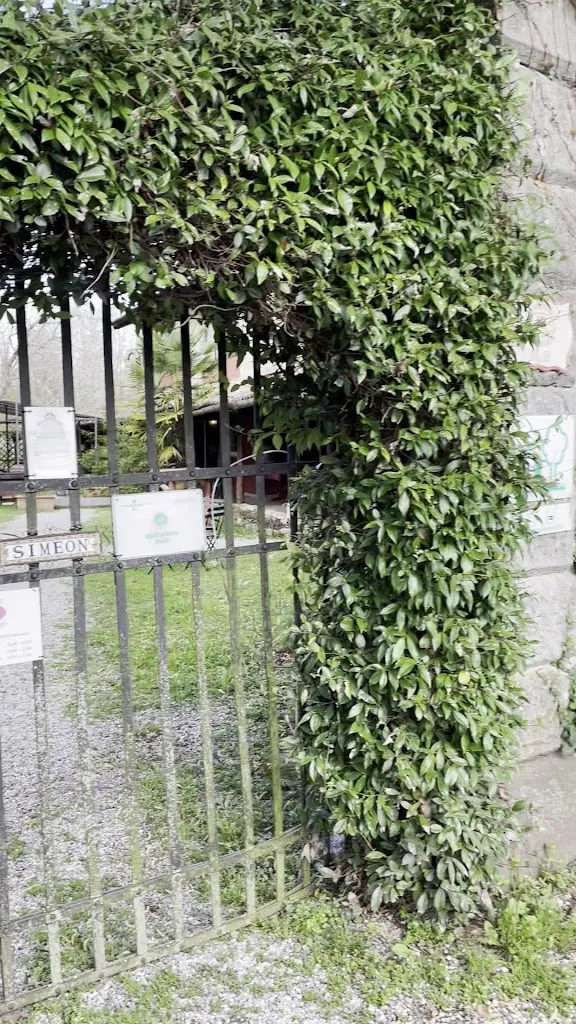 Agriturismo Il Cammino_San Vito al Torre_slider_image_1