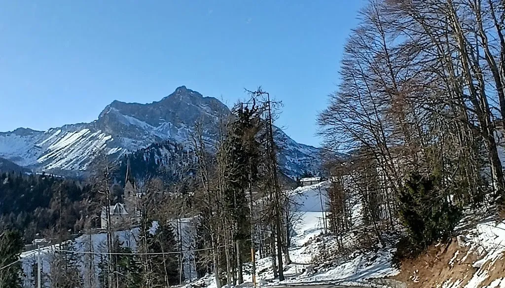 Ariano Durli_SAURIS_Sauris di Sotto_review