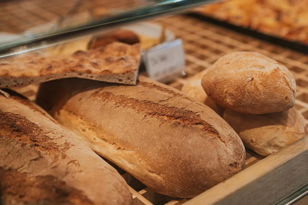 Menu_Rigatoni Avezzano_Avezzano_image_9