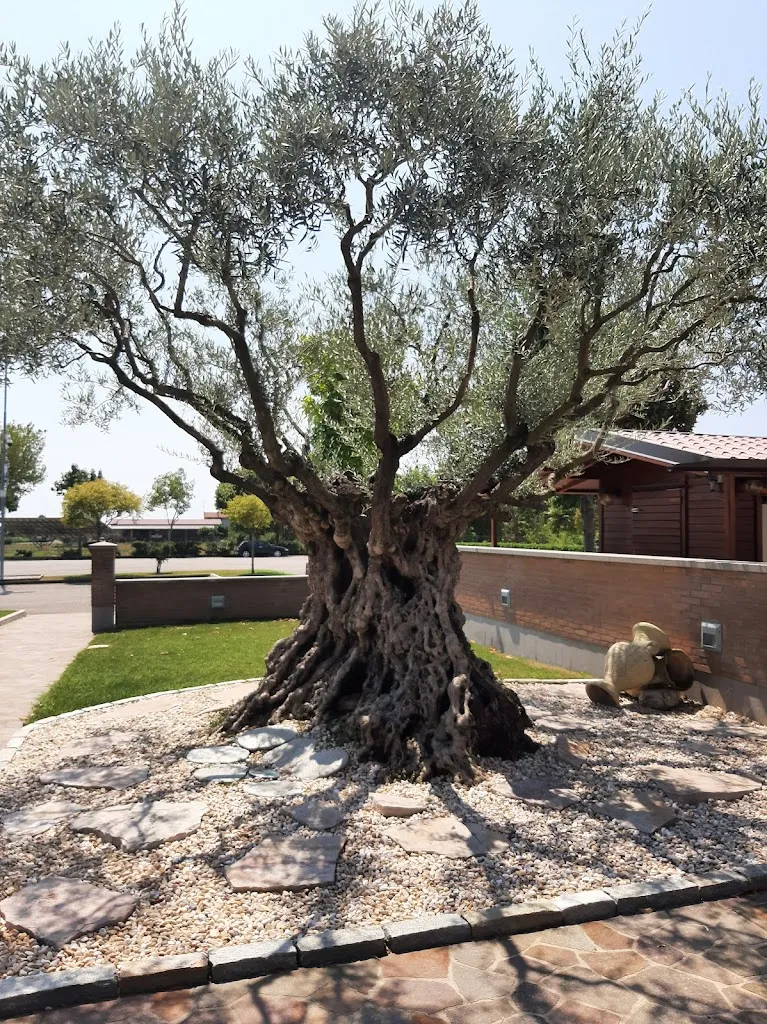 Cà dal Pape_Sedegliano_slider_image_3