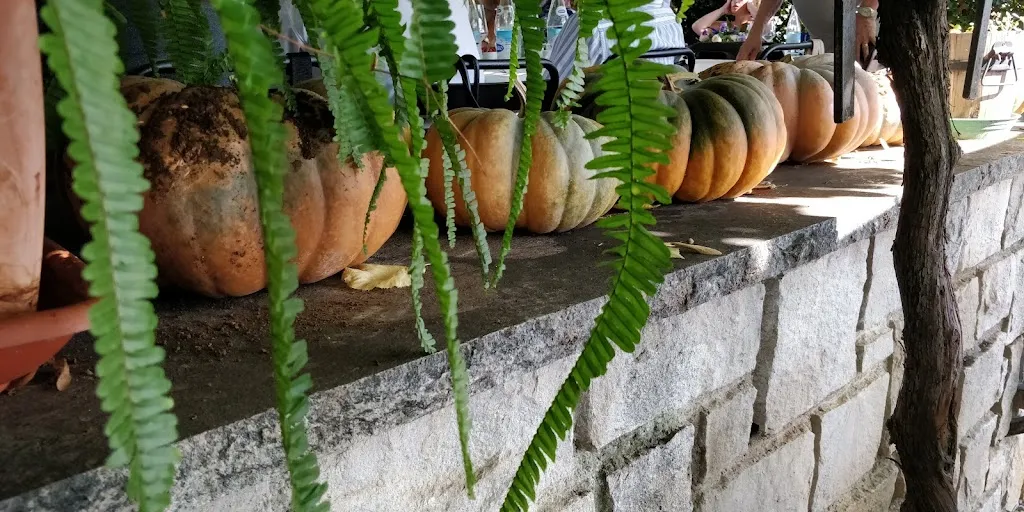 Marco Almerigogna_Trattoria Gostilna Gustin_Sgonico_review