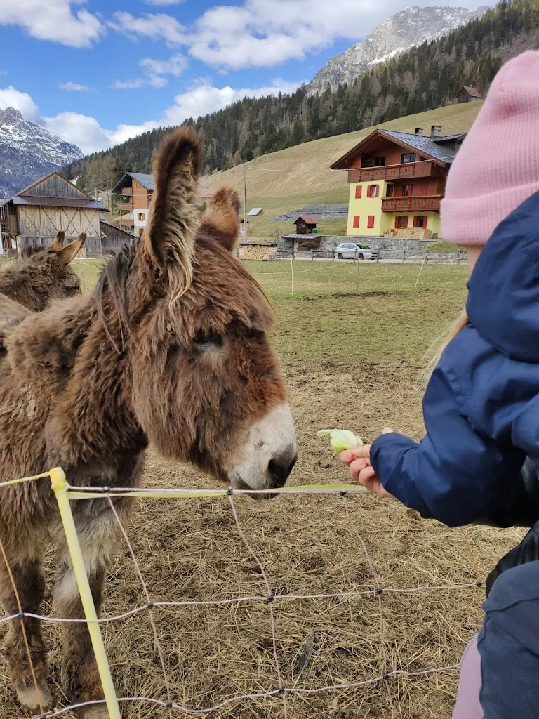 Tanya Shenikova_Agriturismo Zaine_Sappada_review