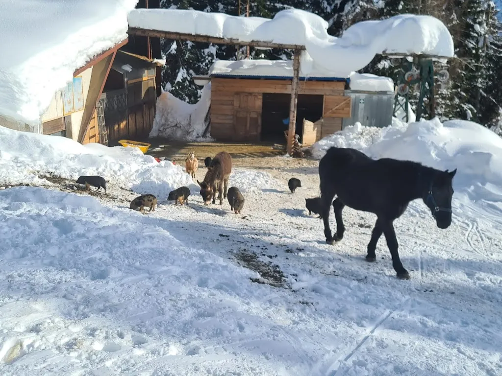 Roger Seganti_Agriturismo 