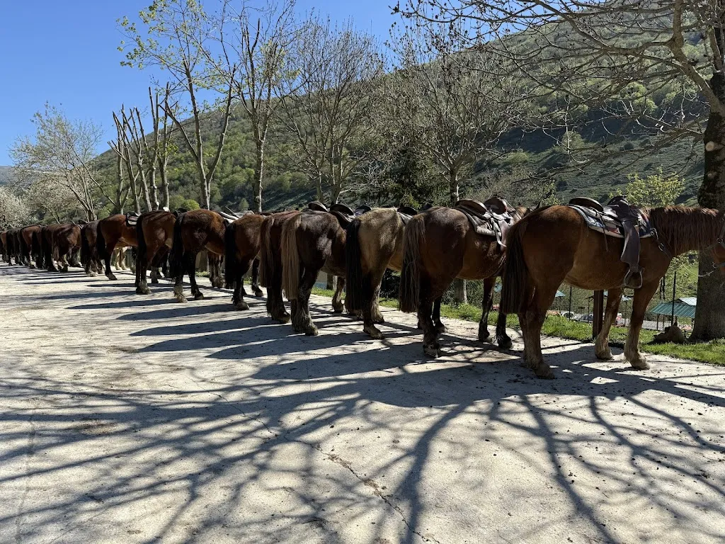 Francesca Bressini_Il Ranch - Bar - Ristorante_Scanno_review