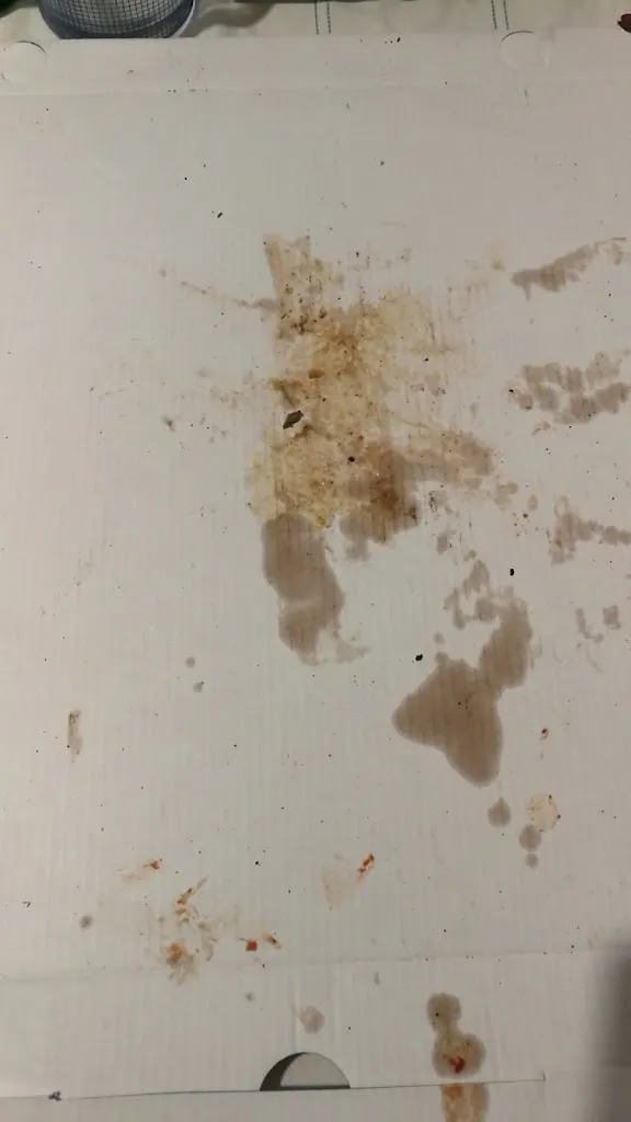 Matteo VAIRO_Mamo express_Staranzano_review