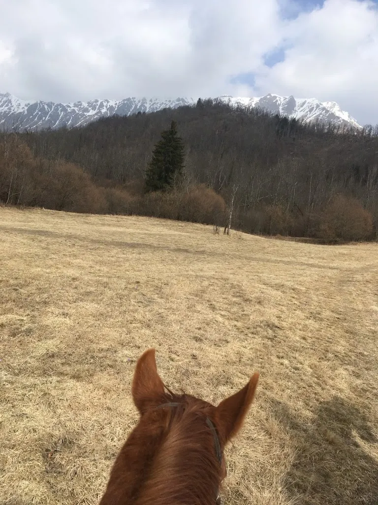 Sabine Haller_Agriturismo Campo di Bonis / Kmečki turizem Buona_Taipana_review