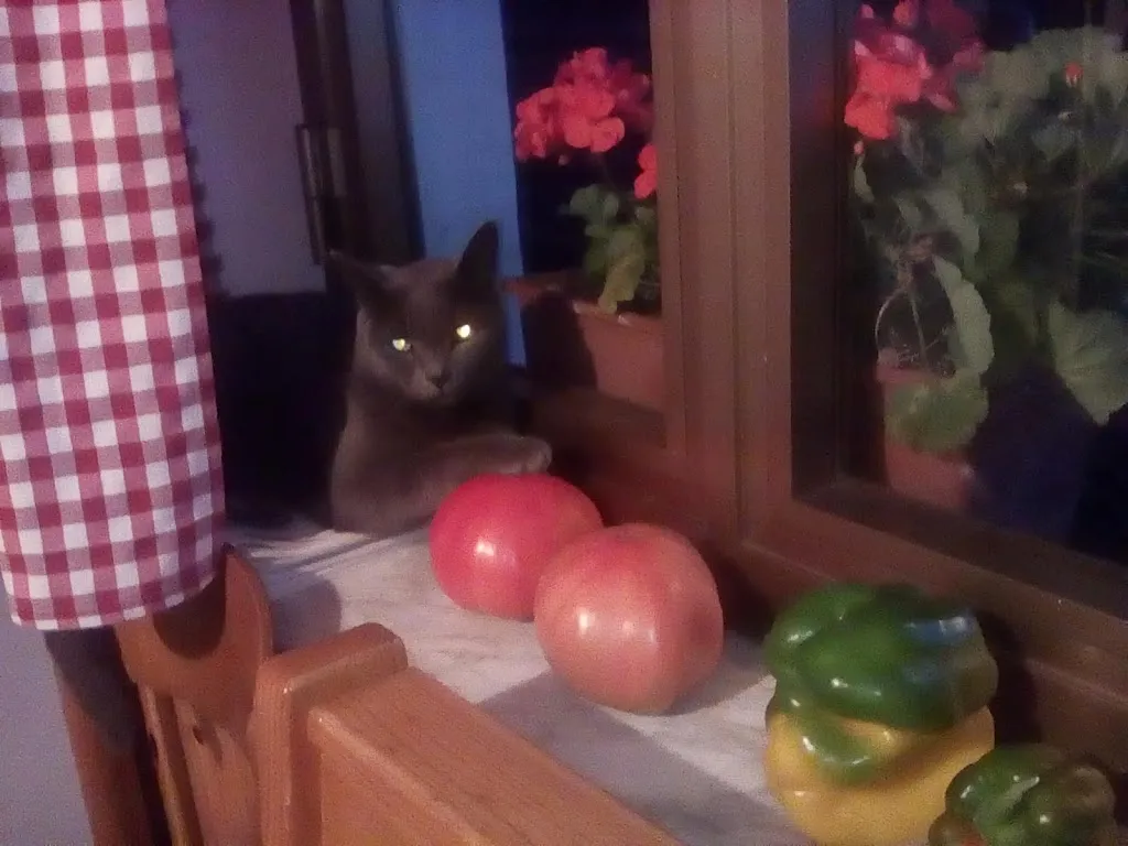 Trattoria Alle Sorgenti_Taipana_slider_image_3