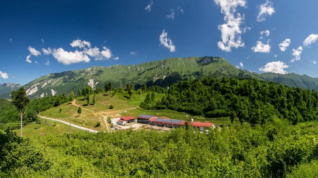 Azienda agricola Zore/turistična kmetija Zore 770m restaurant in Taipana