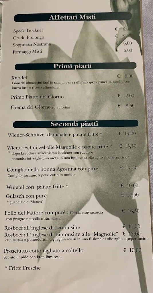 Menu_Ristorante Le Magnolie Gasthaus_Tavagnacco_image_2