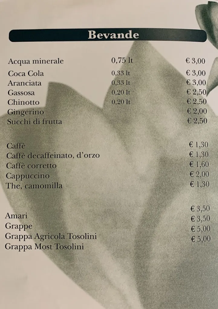Menu_Ristorante Le Magnolie Gasthaus_Tavagnacco_image_4