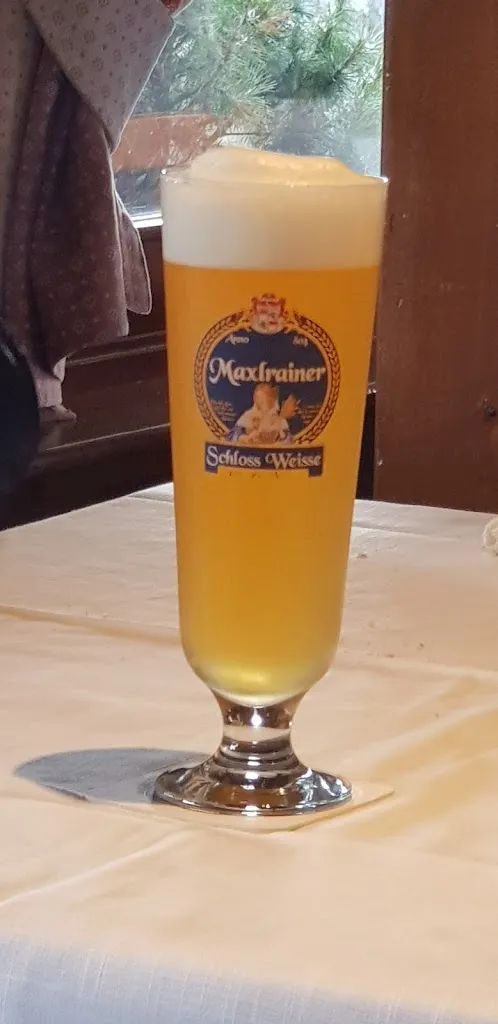 Louis Segatti_Ristorante Le Magnolie Gasthaus_Tavagnacco_review